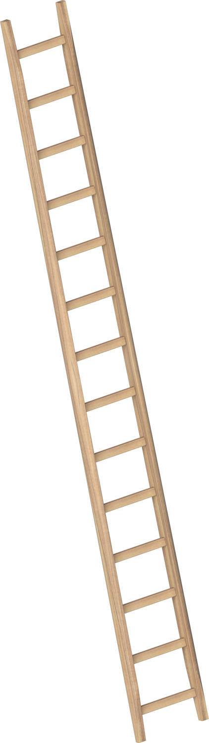 Layher Bau-Holzanlegeleiter 1036